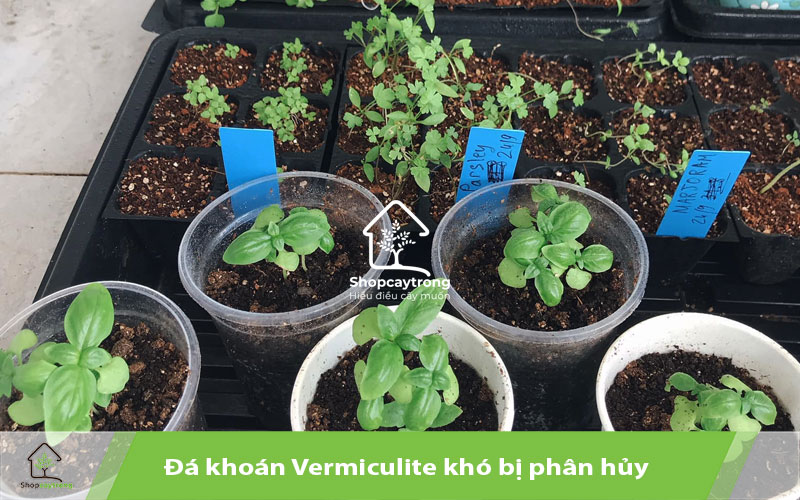 Đá Vermiculite có thể tái sử dụng