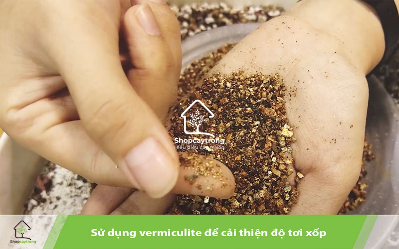 Sử dụng đá Vermiculite để cải tạo đất trồng