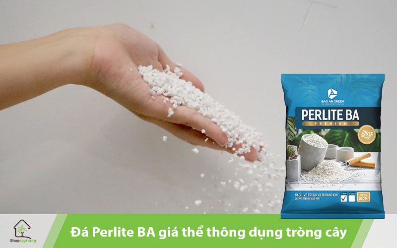 Đá Perlite BA giá thể trồng cây phổ biến