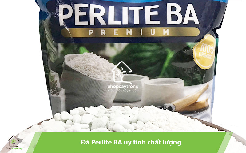 Perlite trắng, xốp và nhẹ