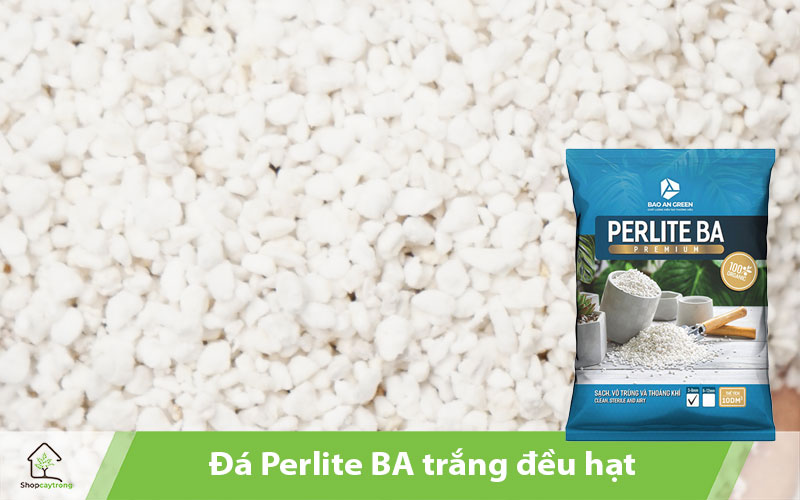 Đá Perlite BA trắng đều hạt