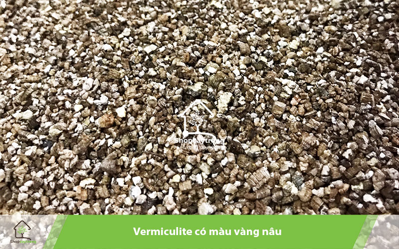 Vermiculite có nhiều ứng dụng trong làm vườn