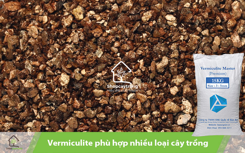 Vermiculite phu hợp với nhiều loại cây