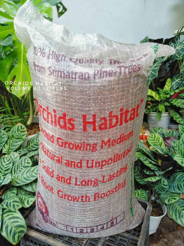 Vỏ thông habitat được nhập khẩu chính hãng