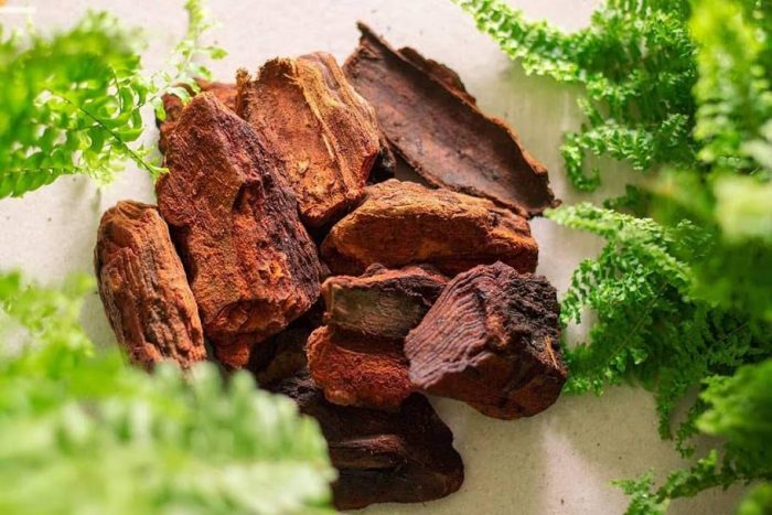 Vỏ thông nhập khẩu Habitat chính hãng, chất lượng