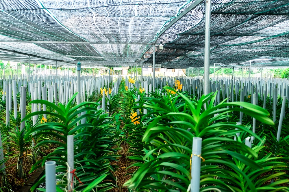 cai anh social ni thi 1200x630 la chuan nhat