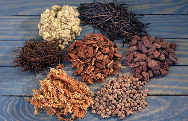 vỏ thông trồng lan giúp lan chống chịu được nấm bệnh.