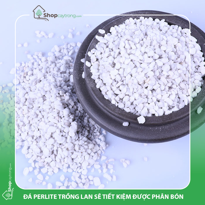 Đá Perlite trồng lan sẽ tiết kiệm được phân bón