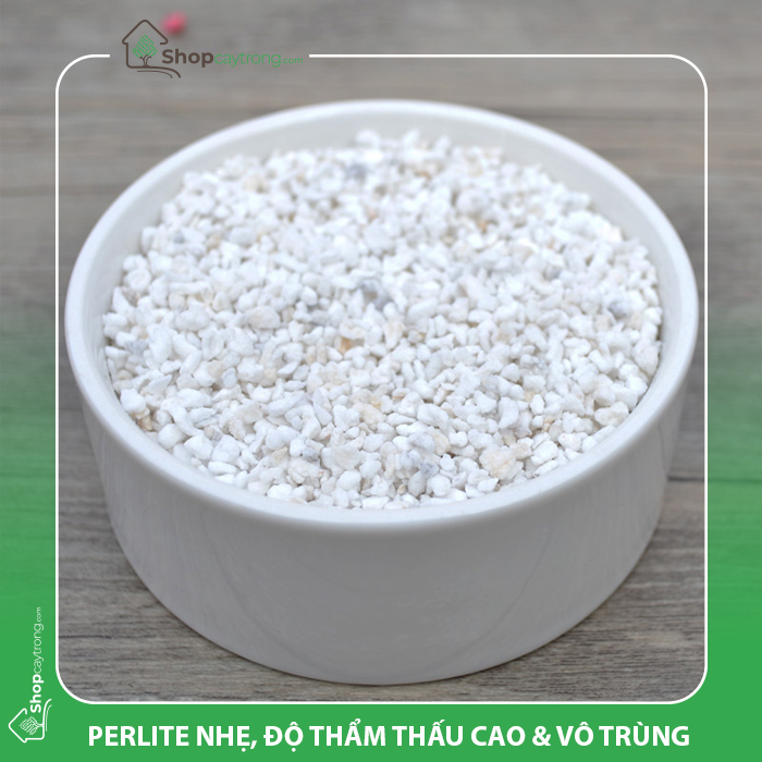 đá Perlite trồng cây giúp thoát nước tốt