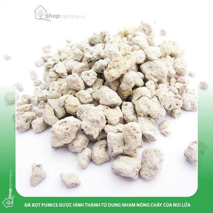 Đá bọt Pumice có nguồn gốc từ thiên nhiên