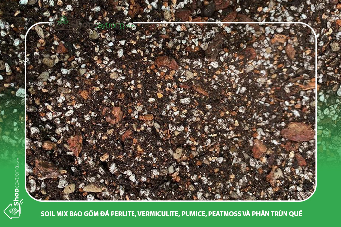 Soil Mix BA chứa nhiều thành phần đá khoáng và dinh dưỡng