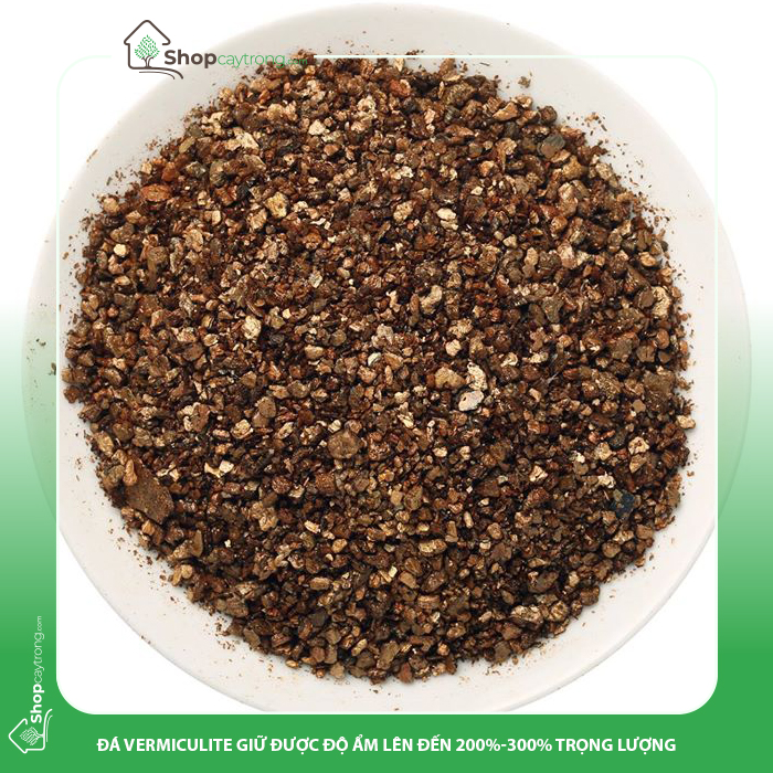 Đá Vermiculite và Perlite trộn theo tỉ lệ 1:1 là một giá thể trồng cây rất phổ biến cho các hệ thống thủy canh
