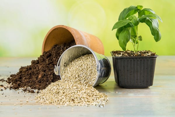 Công dụng của đá Vermiculite trong cải tạo đất trồng