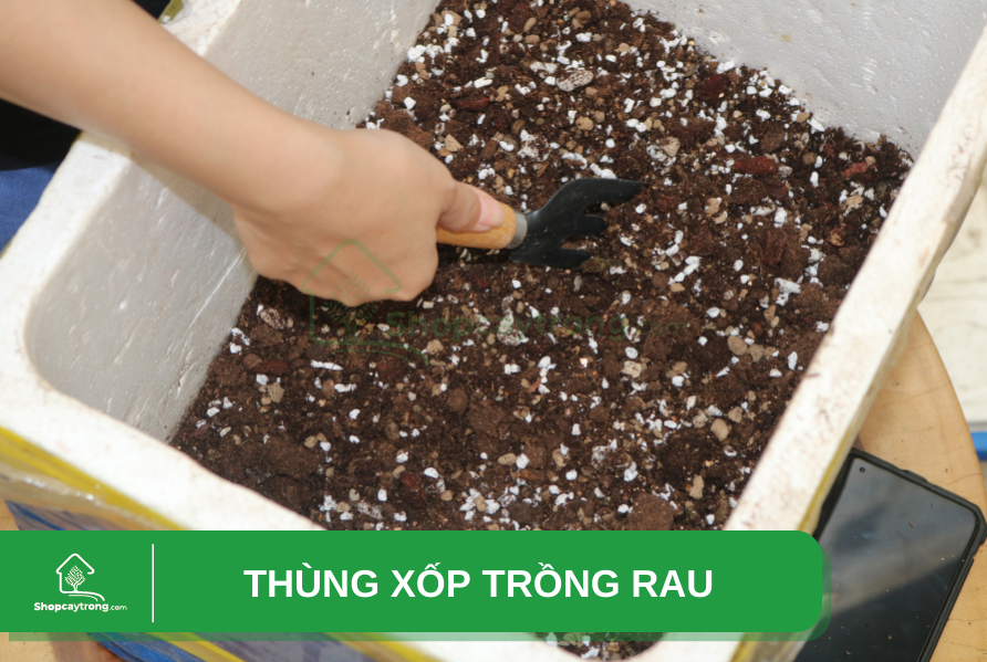 cách làm đất trồng rau