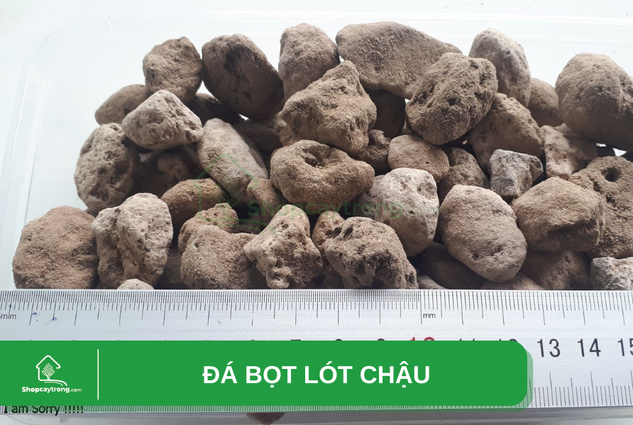 Đá Pumice có nhiều loại size phù hợp với nhiều mục đích sử dụng.