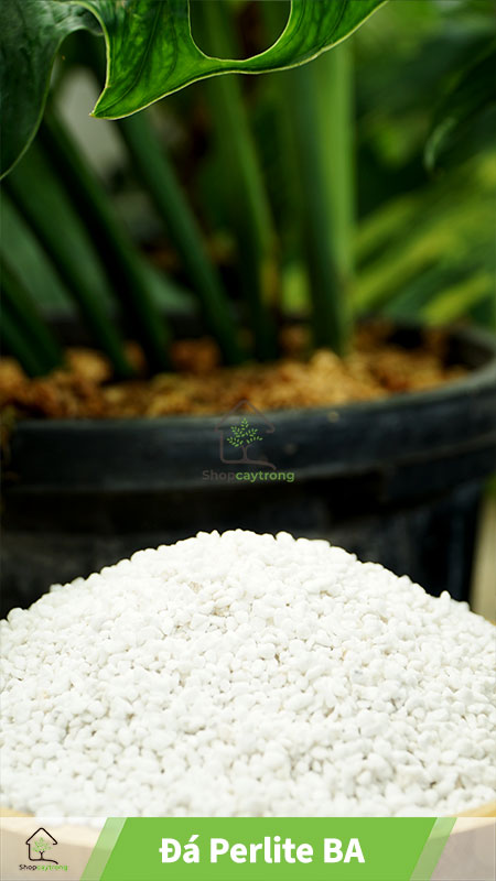 Bán đá Perlite tại Thành phố Hồ Chí Minh