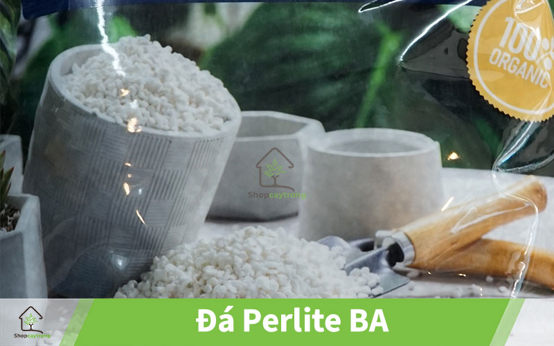Đá perlite quận 5