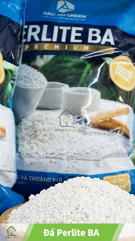 Mua đá perlite quận 1