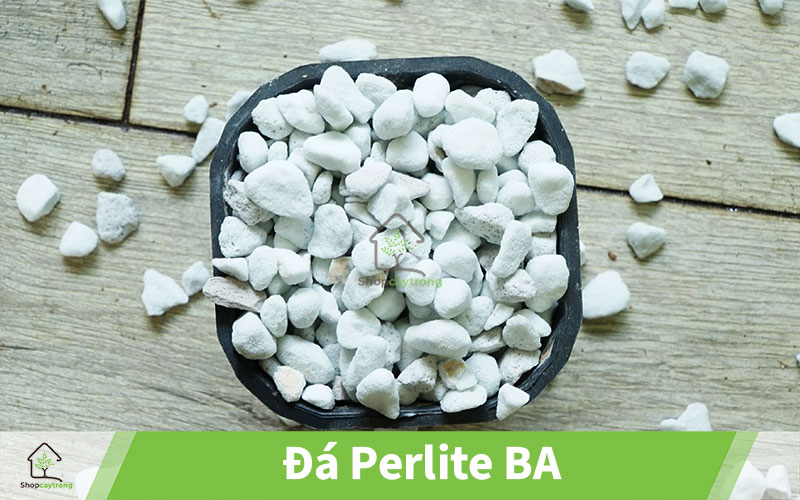 Bán Đá perlite quận 5