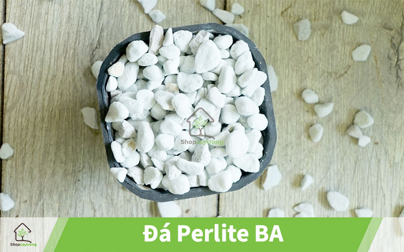 Bán Đá Perlite mua ở quận 7