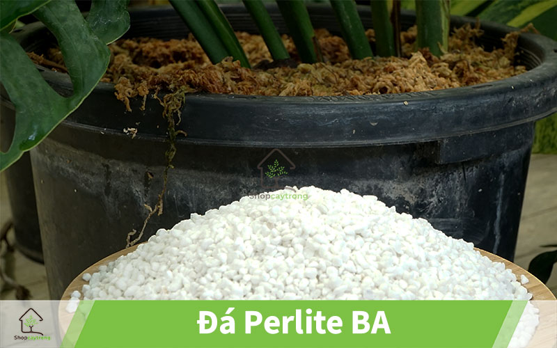 Đá Perlite tại Thành phố Hồ Chí Minh
