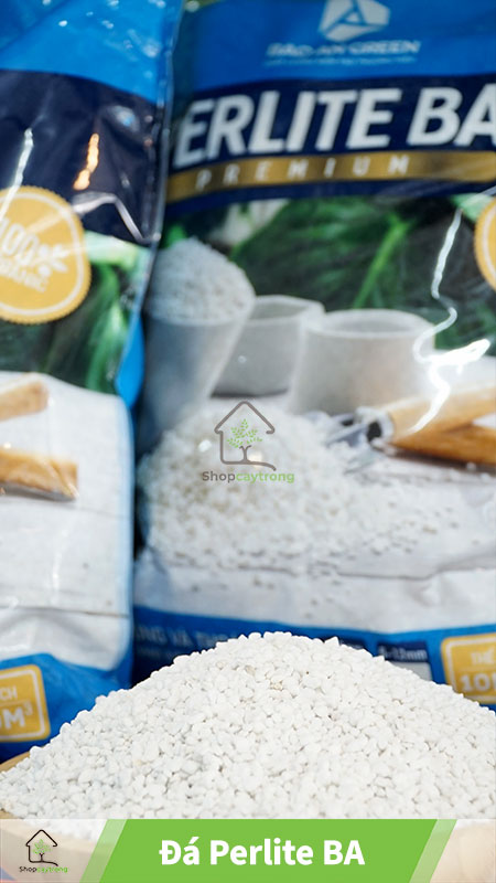 Mua Đá Perlite mua ở quận 7