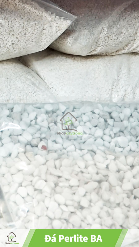 Bán đá Perlite quận 2