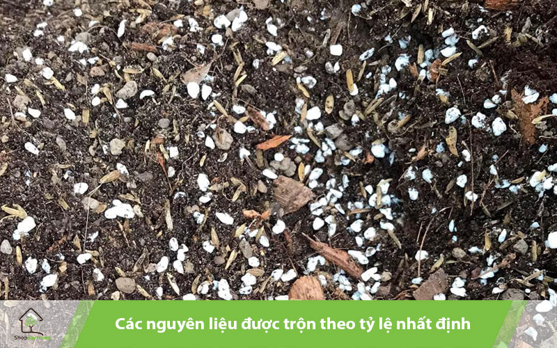 Giá thể tự trộn thường được phối trộn nhiều thành phần lại với nhau.