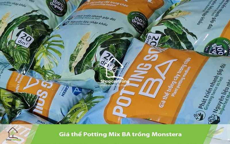 Potting Soil BA giá thể trồng cây kiểng hàng đầu