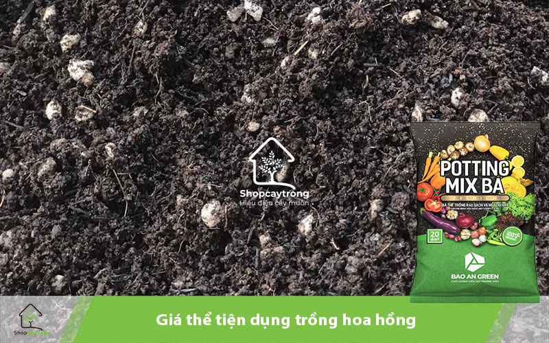 Potting Mix BA giá thể trồng hoa hồng tiện lợi và hiệu quả