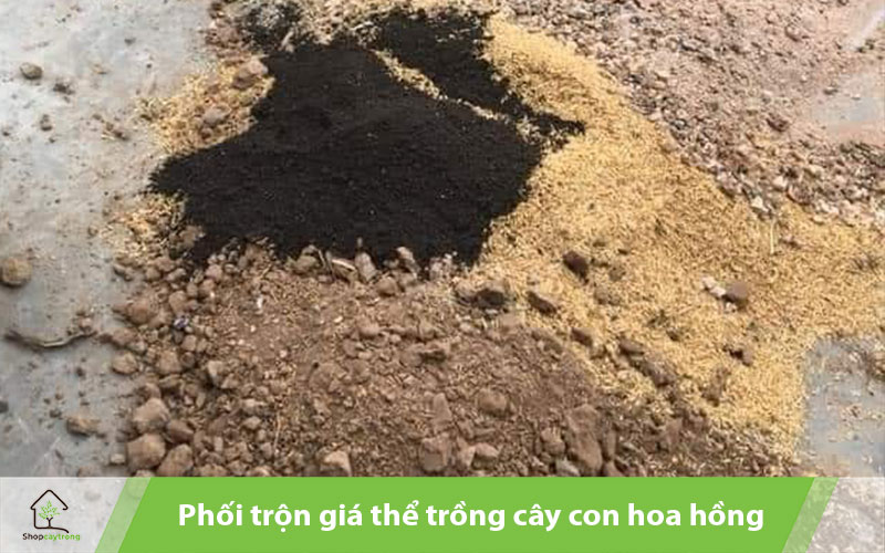 Giá thể được trộn theo tỷ lệ