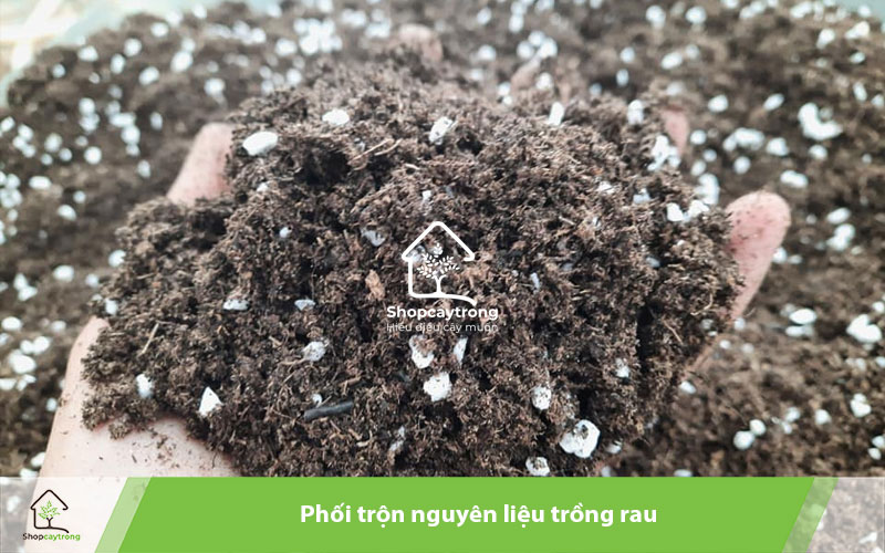 Phối trộn nguyên liêu trồng rau