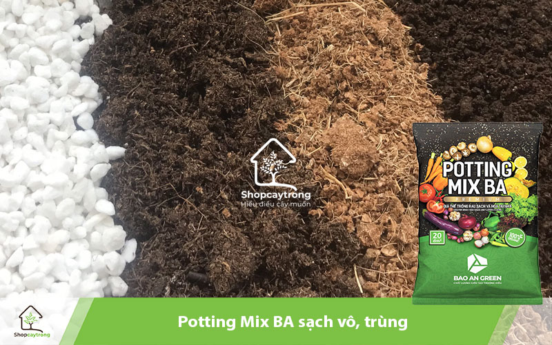 Potting Mix BA - giá thể trồng hoa hồng bonsai ưu việt