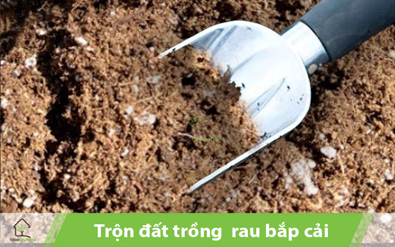Trộn giá thể đất đều tay