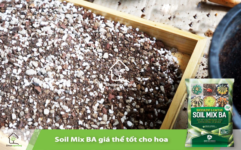 Soil Mix BA giá thể trồng cây hoàn hảo 