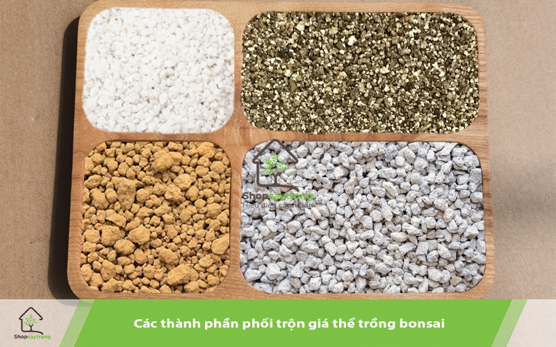 Thành phần phối trộn trồng bonsai