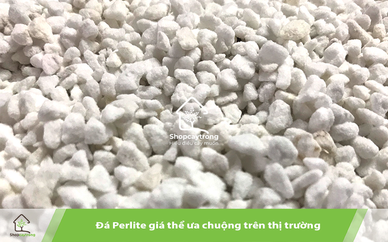 Đá Perlite là thành phần không thể thiếu để tạo độ tơi xốp cho giá thể.