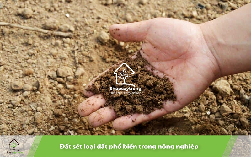 Đất sét dính và dẻo