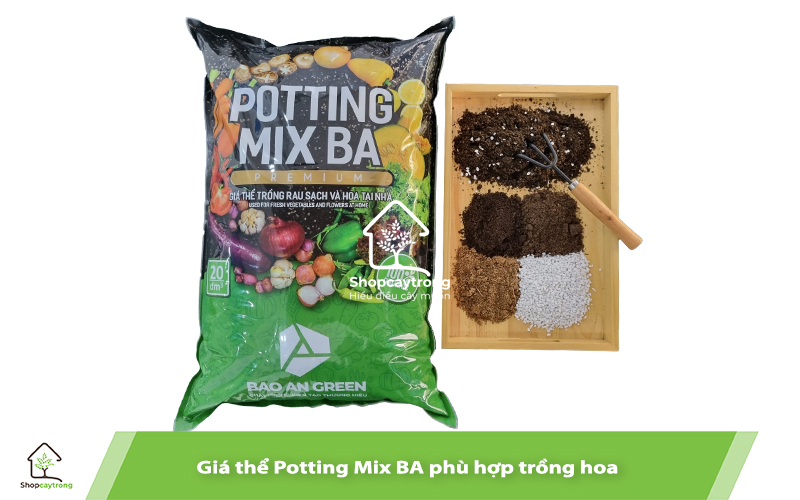 Potting Mix BA giá thể trồng hoa hàng đầu