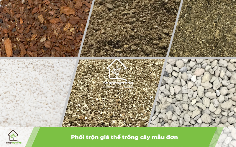 Potting Mix BA được phối trộn từ nhiều loại nguyên liệu giá thể đơn giàu khoáng chất.