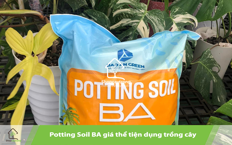 Chỉ cần đổ ra và sử dụng ngay