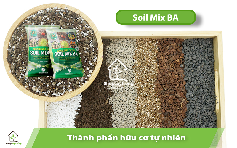 Thành phần được phối trộn theo tỷ lệ hợp lý